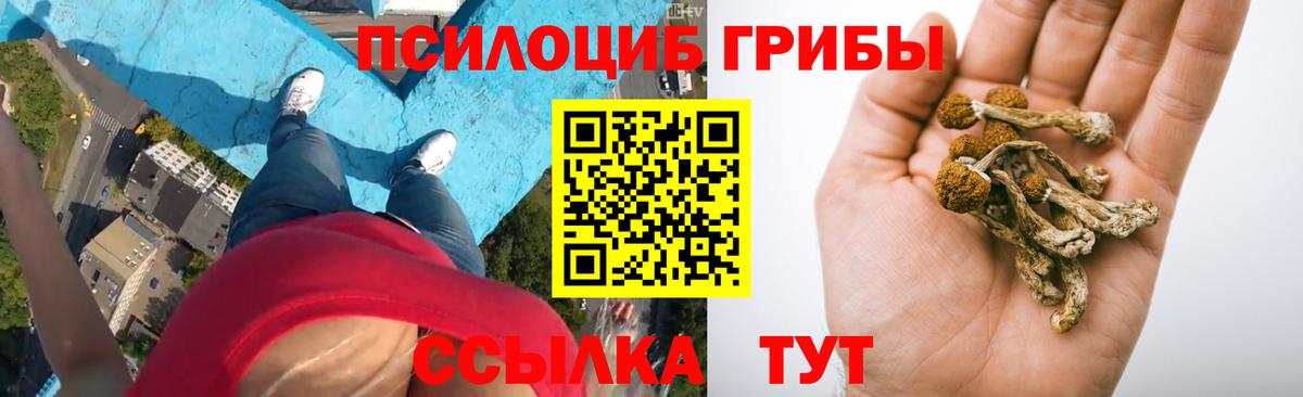 Галлюциногенные грибы Psilocybine cubensis  Вход с VPN  Горячий Ключ  Псилоцибиновые грибы Psilocybe 